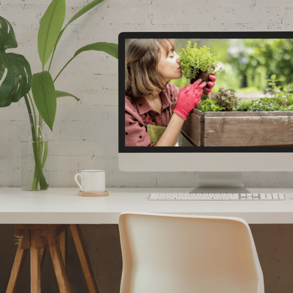 Programme en ligne pour animaer des séance au jardin avec des patients en milieu de soins et à visée thérapeutique